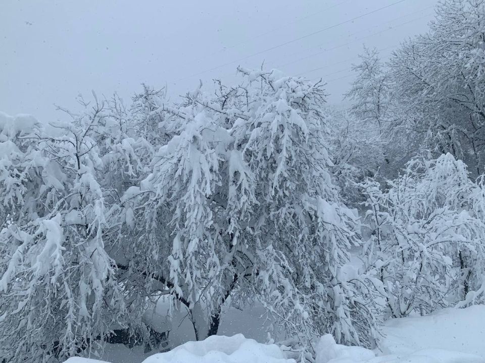3 января в Адыгее безоблачно