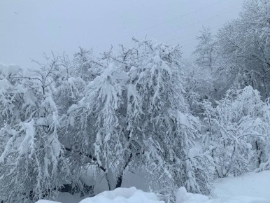 3 ������ � ������ ����������