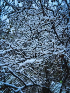 ��� ����� �� ������ � ������?