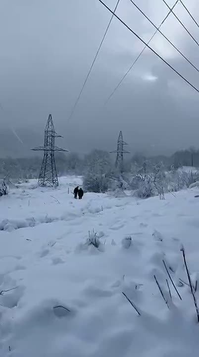 В течение смены бригады проходят несколько километров по метровым сугробам в предгорьях Адыгеи, чтобы осмотреть и выявить порывы на ЛЭП