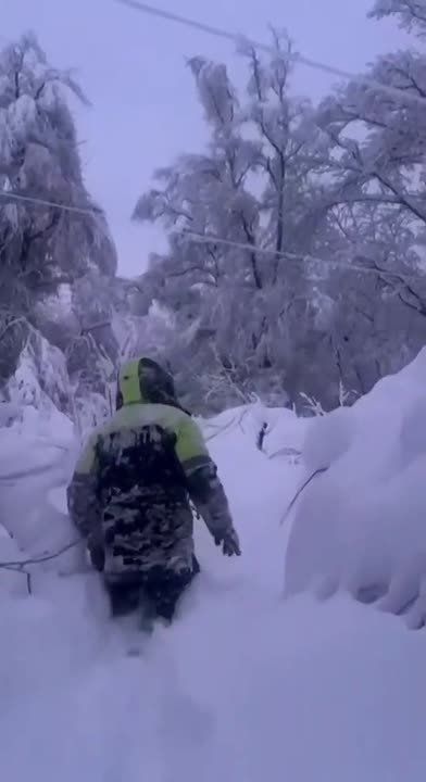 �������� ������������ ��������� � ������������, ��� ������� � ������