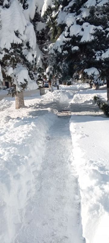 ������� � ������� �� 5 ������: