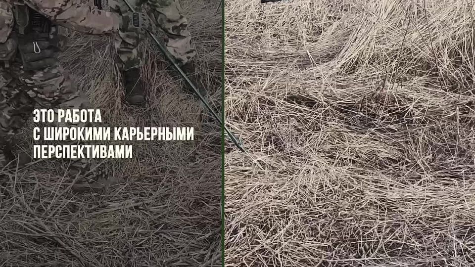 ������ ���, ��� �����!. ������ �� ��������� � ��� �� ������ ����, �� � �������� ������ � �������