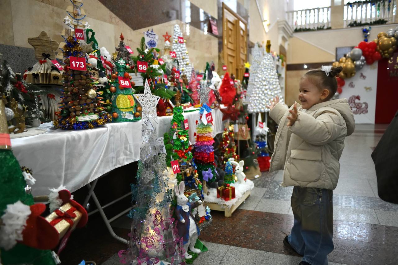 В Майкопе открылась выставка конкурса альтернативной новогодней ели «Арт-елка-2026» В Майкопе открылась выставка конкурса альтернативной новогодней ели «Арт-елка-2026»