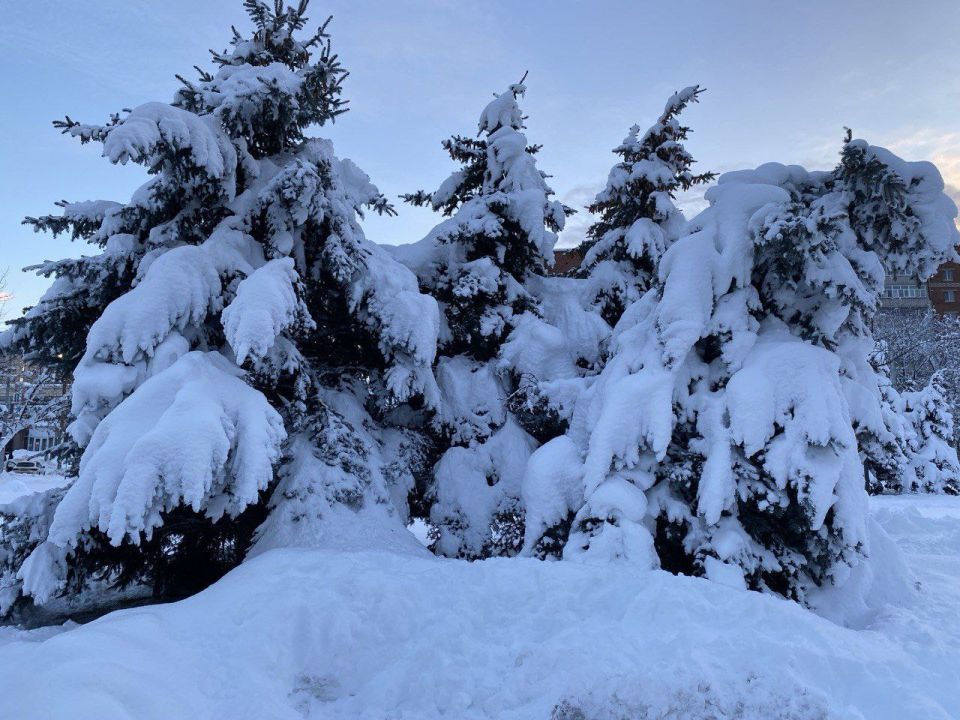 Погода в Майкопе на 6 января: