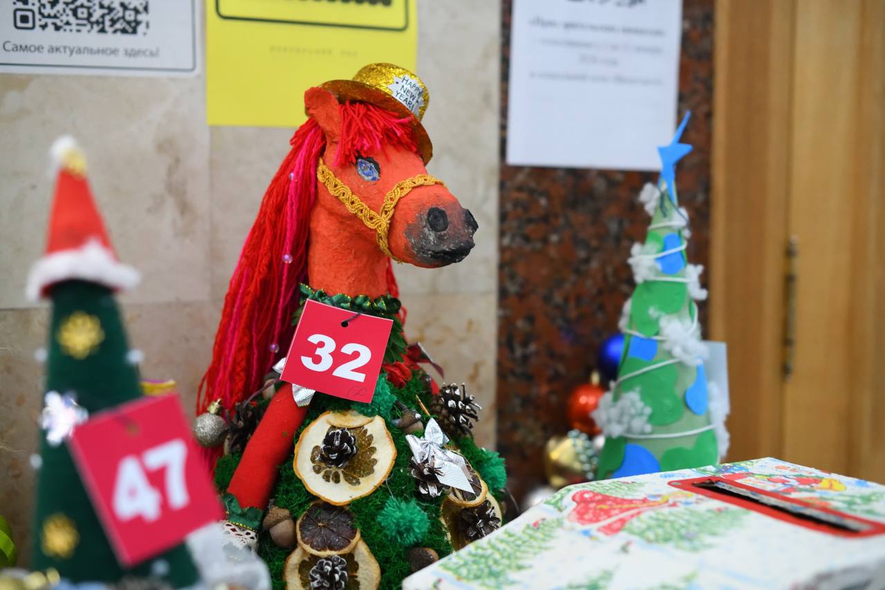 Более 500 альтернативных елей представили на выставке в Майкопе Более 500 альтернативных елей представили на выставке в Майкопе