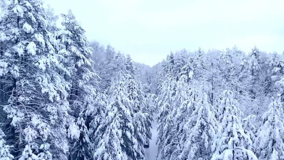 ������ ����!. ������ � ���������� �������, 8 ������