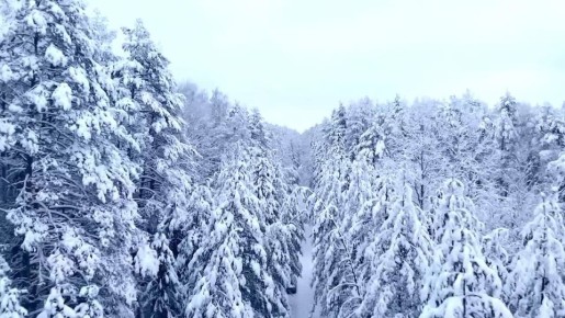 ������ ����!. ������ � ���������� �������, 8 ������