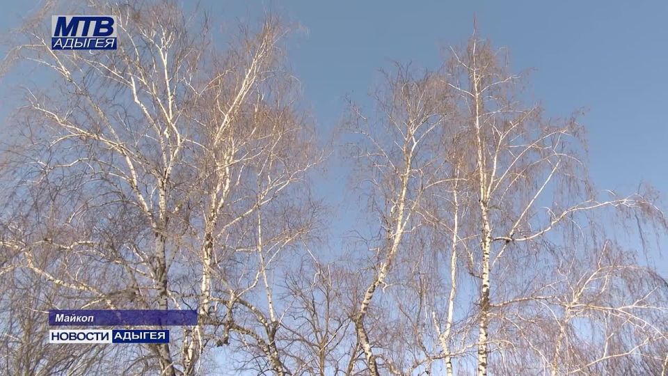 ������� � �������� ������ � ������ ����� ��������� �������� ������