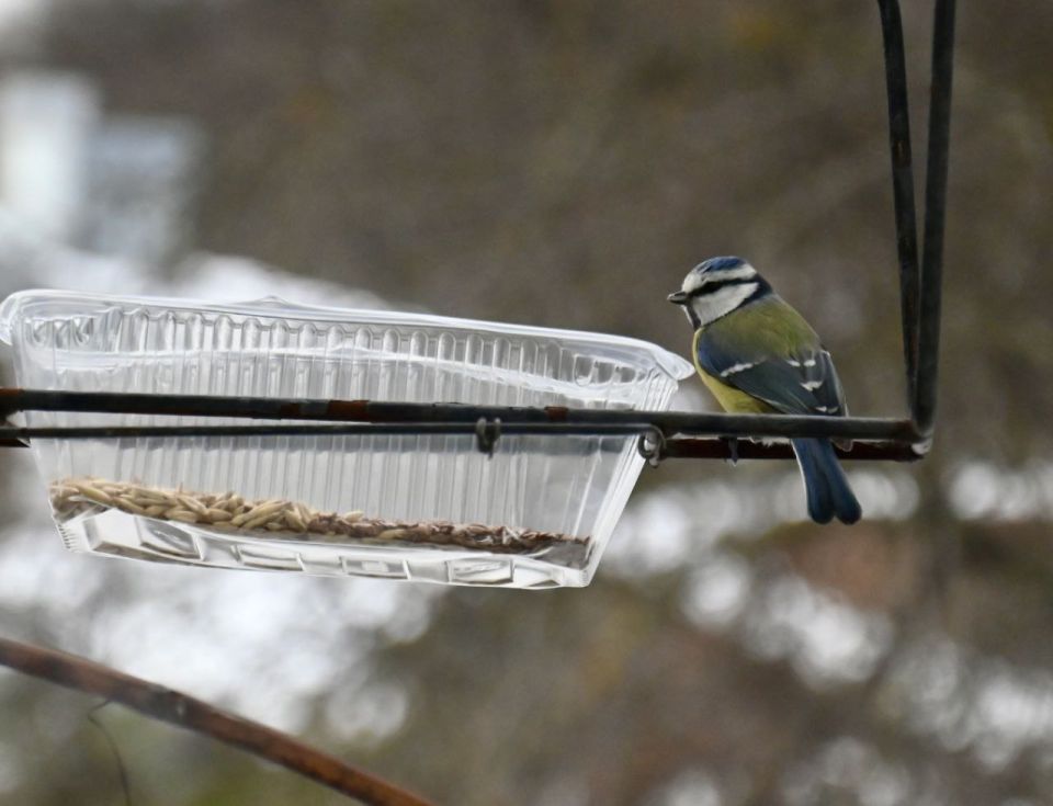 10 января в Адыгее без осадков