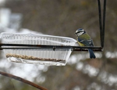 10 ������ � ������ ��� �������