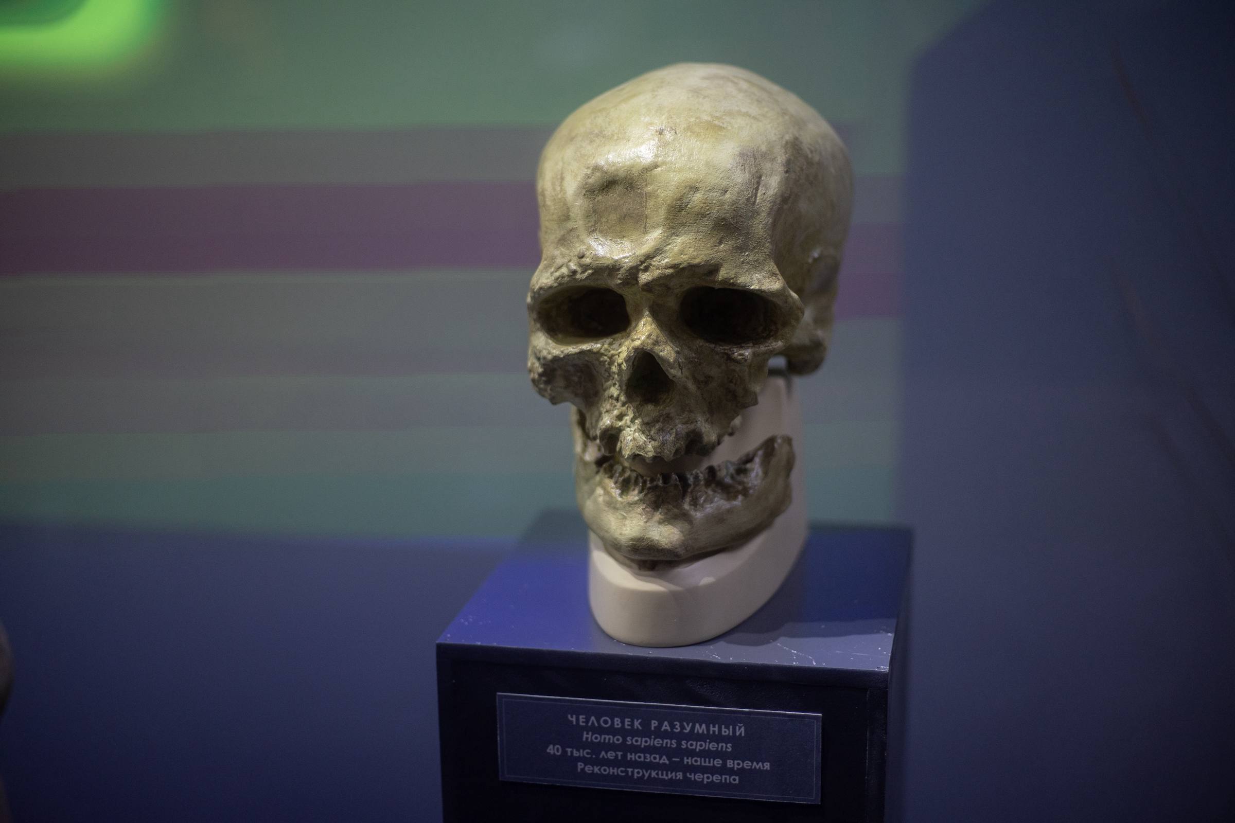 Мурат Кумпилов: Прошедший 2025 год стал юбилейным сразу для двух музеев региона: Национальный музей республики отметил своё 100-летие, а Северокавказский филиал Государственного музея искусств народов Востока – 40-летие Мурат Кумпилов: Прошедший 2025 год стал юбилейным сразу для двух музеев региона: Национальный музей республики отметил своё 100-летие, а Северокавказский филиал Государственного музея искусств народов Востока – 40-летие