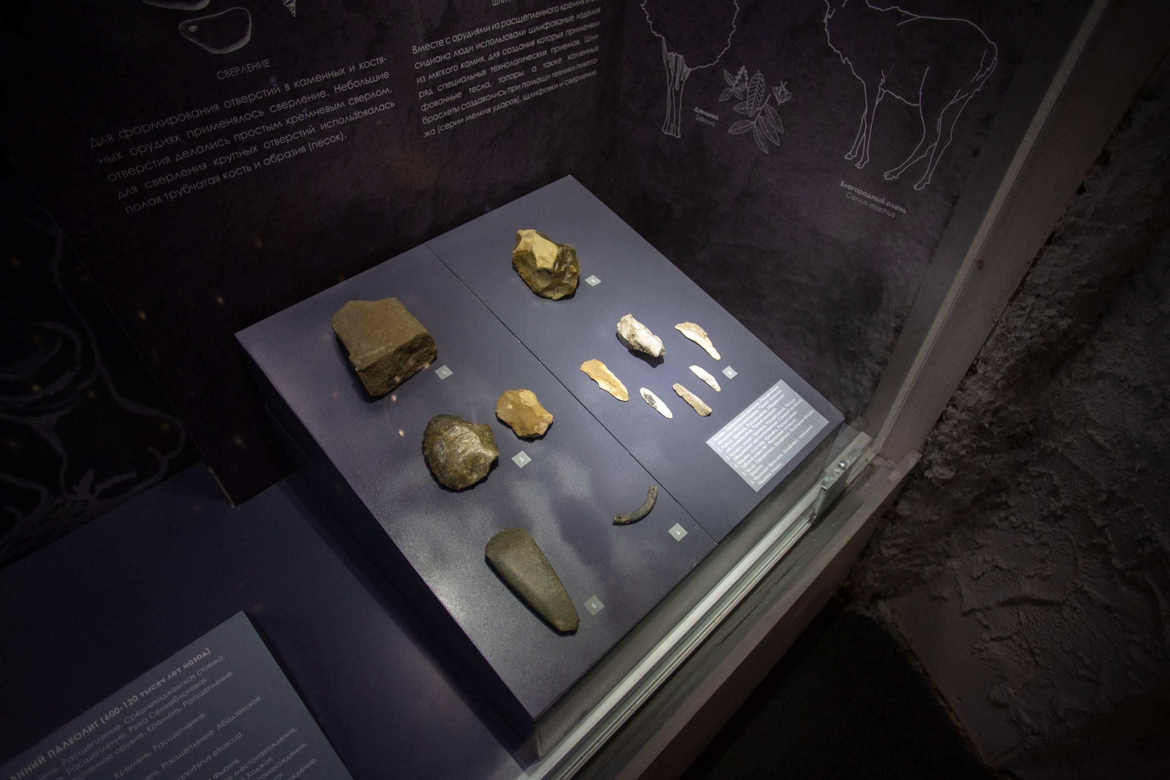 Мурат Кумпилов: Прошедший 2025 год стал юбилейным сразу для двух музеев региона: Национальный музей республики отметил своё 100-летие, а Северокавказский филиал Государственного музея искусств народов Востока – 40-летие Мурат Кумпилов: Прошедший 2025 год стал юбилейным сразу для двух музеев региона: Национальный музей республики отметил своё 100-летие, а Северокавказский филиал Государственного музея искусств народов Востока – 40-летие