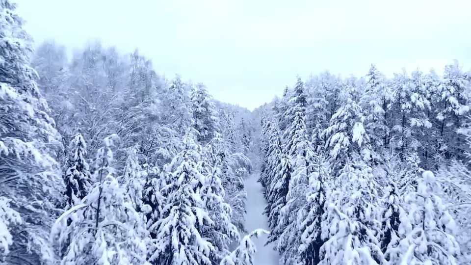 Доброе утро!. Погода в республике сегодня, 10 января