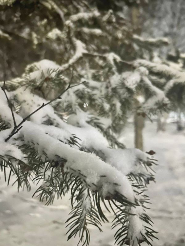 Погода в Майкопе на 11 января: