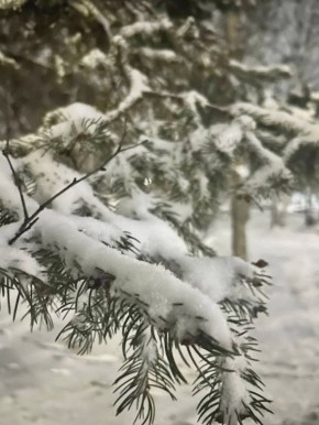 ������� � ������� �� 11 ������: