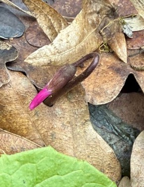 ������ ���������.. �� ����� �������� 49 ����