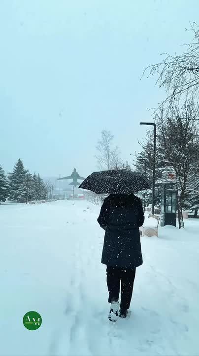 Майкоп накрывает снегом. А что сейчас за окном у вас? Покажите в комментариях!