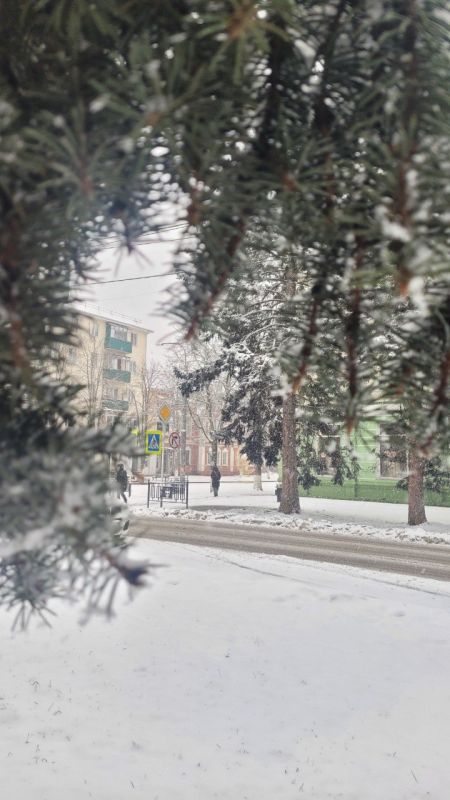 Погода в Майкопе на 13 января: