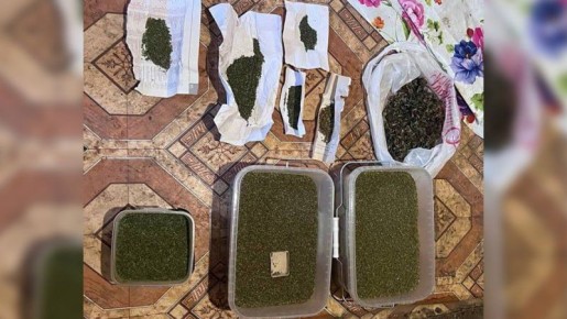 ������� ������ ��������� ����������� �� �������, ������������� � ���� ���� 1,5 �� ��������� ��� �����