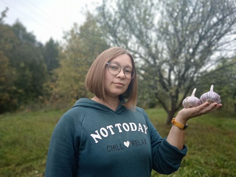 Секреты успешной посадки озимого чеснока