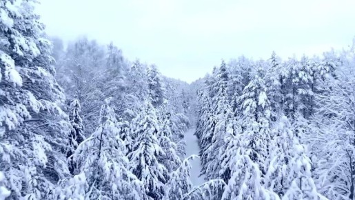 ������ ����!. ������ � ���������� �������, 13 ������