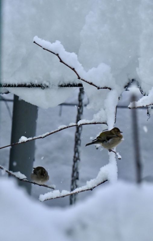 15 января в Адыгее облачно