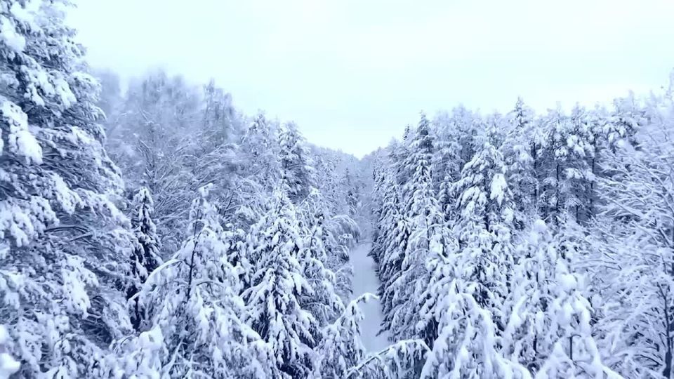 Доброе утро!. Погода в республике сегодня, 14 января