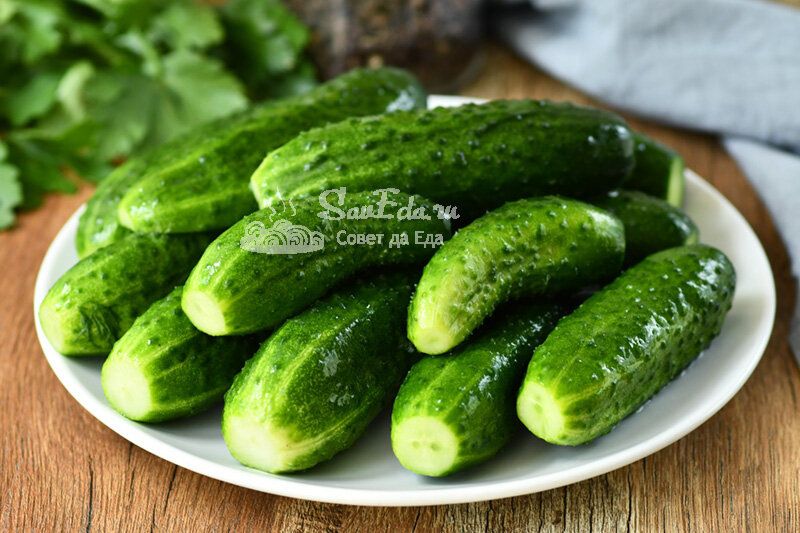 Непревзойденный вкус: как сделать хрустящие малосольные огурцы без варки рассола