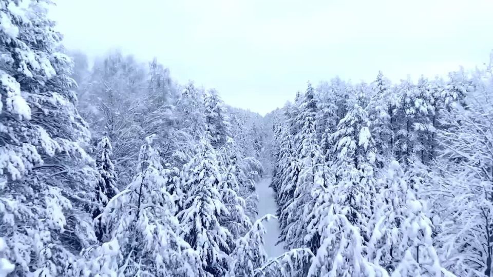 Доброе утро!. Погода в республике сегодня, 15 января