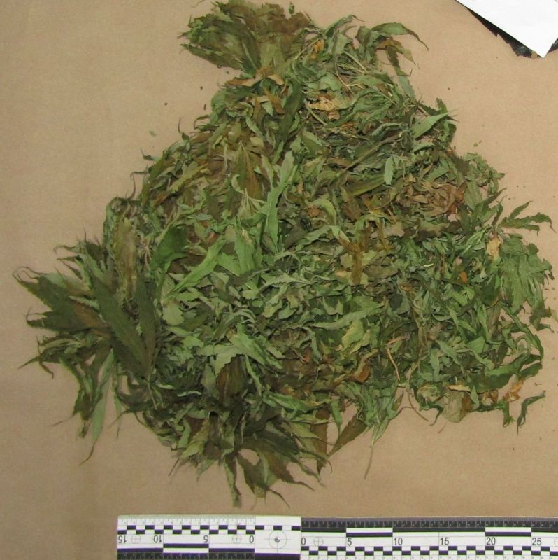 Почти 200 граммов растительного наркотика изъяли сотрудники наркоконтроля у 50-летнего ранее судимого жителя Адыгеи