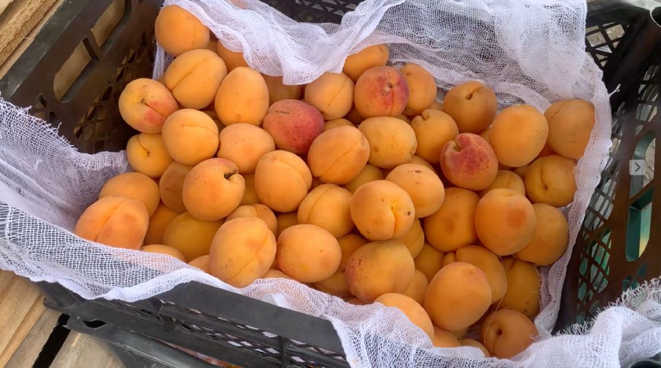 Секреты приготовления абрикосового варенья: от воспоминаний до идеального рецепта