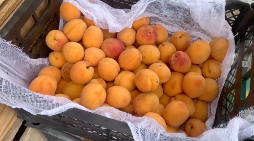 ������� ������������� ������������ �������: �� ������������ �� ���������� �������