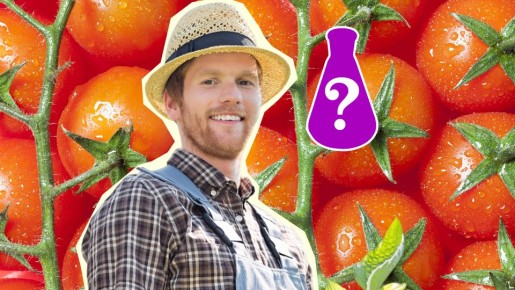 ����������� ������ ���������� �� ������ �� 2 ���: ���������� �������� �������