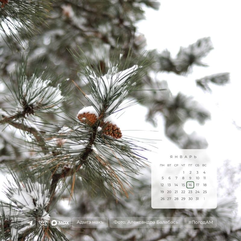 Доброе утро!. 16 января в Адыгее ожидается снег