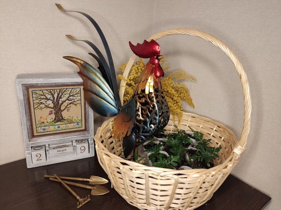 Томаты и капуста: за что мы любим дачный декор?