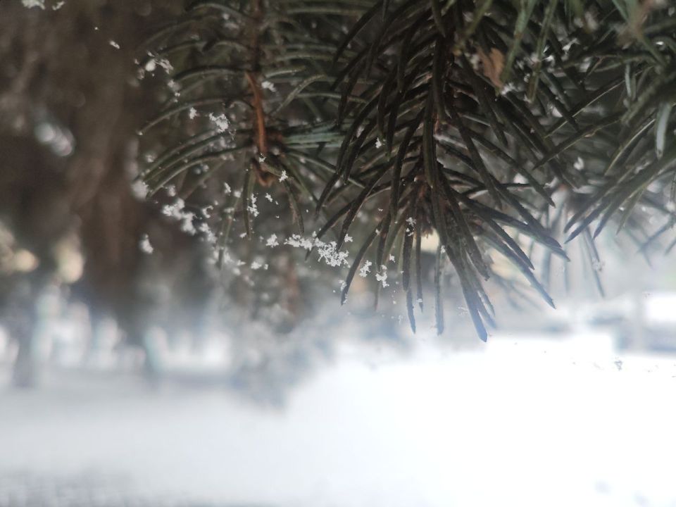 Погода в Майкопе на 16 января: