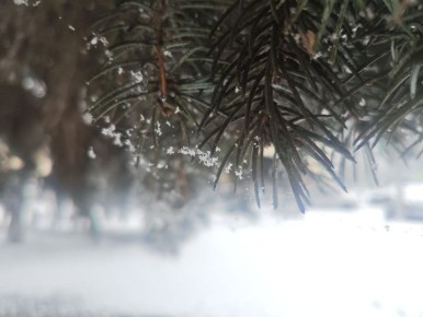 ������ � ������� �� 16 ������: