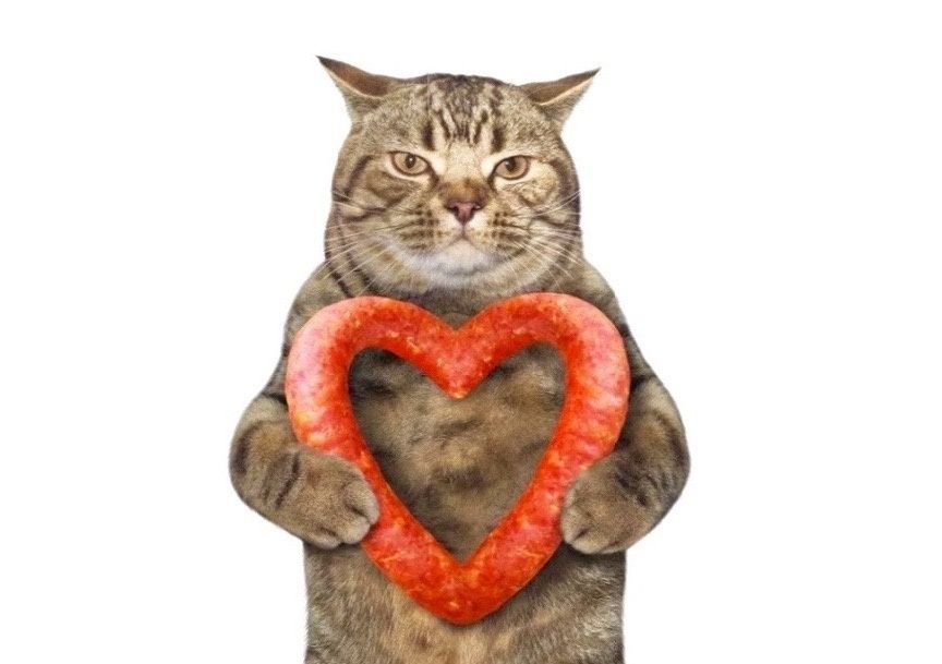 Пастрома: вкусное и полезное мясо, заменяющее привычные колбасы