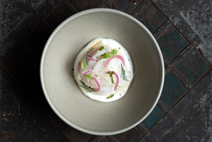 ��������� ��������: ������������ ����� �� ���-������� ������