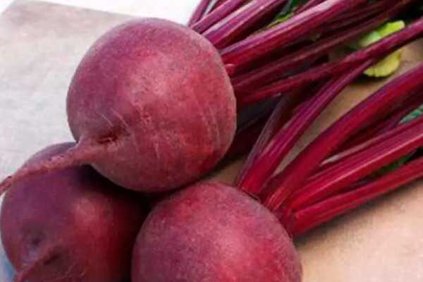 Свёкла Кестрел: гибрид, который покоряет садоводов