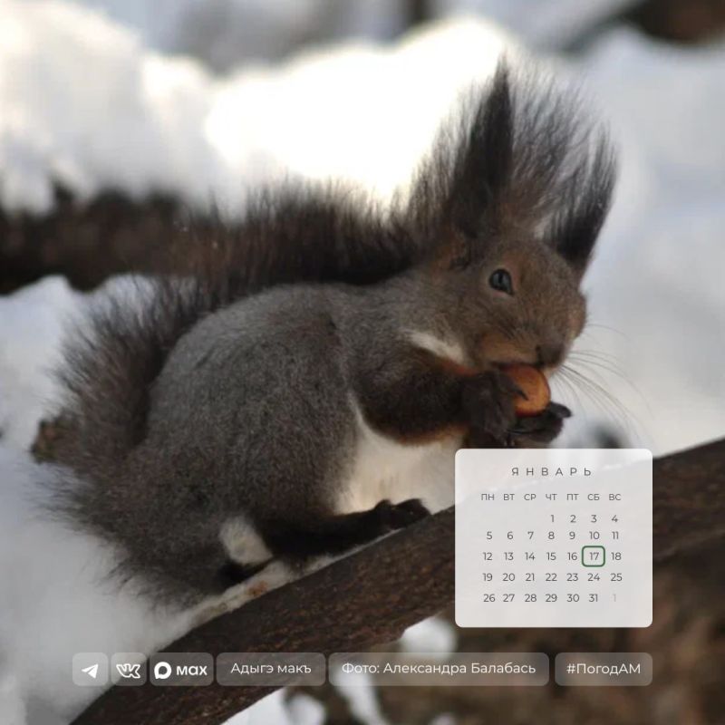 Доброе утро!. 17 января в Адыгее ожидается снег с дождем
