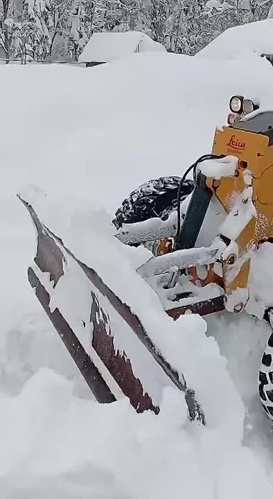 Обстановка на Партизанской поляне