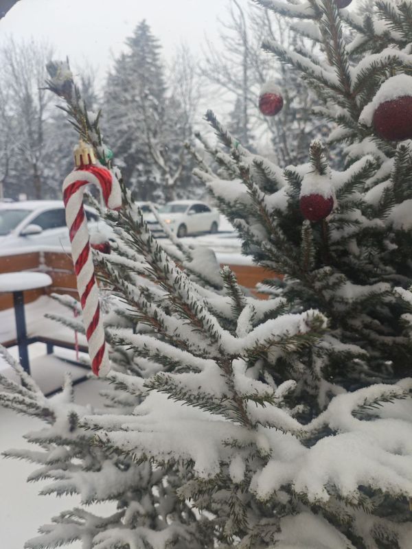 ������ � ������� �� 18 ������: