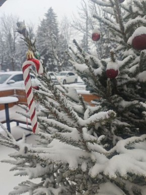 ������ � ������� �� 18 ������: