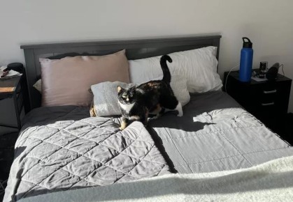 ������������� ����� ���: ����� �� ����������� ��������� ������?