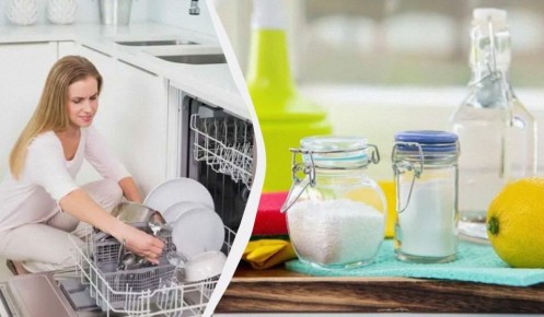 ��� ��������� ������� ������������� ������: ������ �� �����