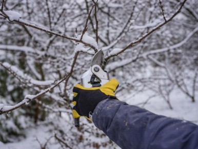 ������ ������ ���������: ��� ������������� � ������ ������