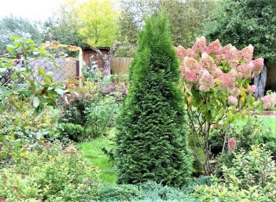 ���������� ��� � ����: ������� ����