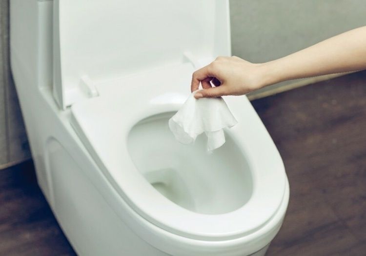 Тайное оружие сантехников: неожиданные враги вашей канализации